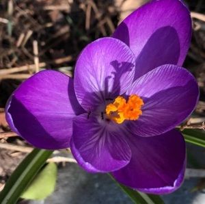 Meet your Posher, Karen